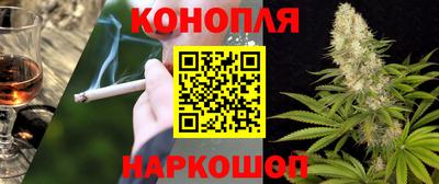 индика Пушкино
