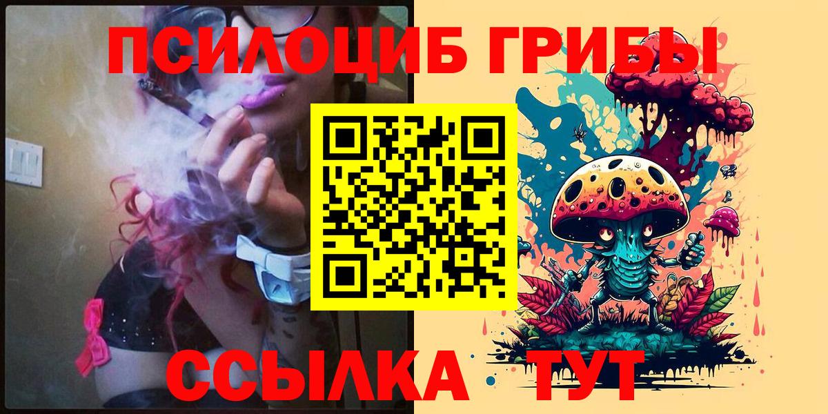 Псилоцибиновые грибы Cubensis Чусовой